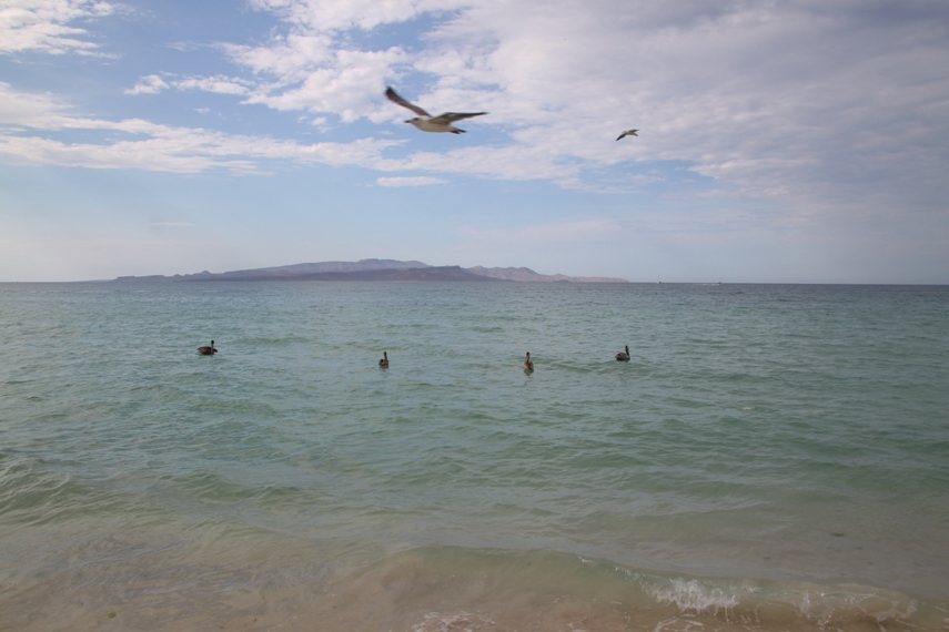 Playa El Tecolote, La Paz
